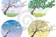 Photo of Kristin Felix Massage Photo of Kristin Felix Massage